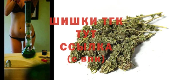 тгк Верея