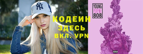 винт Бородино