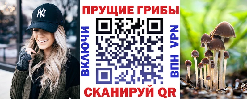 Купить где  Курильск  Галлюциногенные грибы ЛСД 